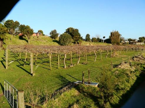 100 Grant Road, Opotiki and Surrounds
