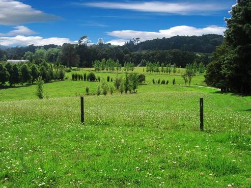 135 Kaipara Flats Road, Warkworth