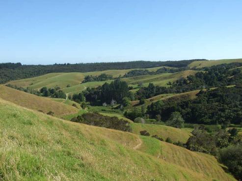 139 Oturu Block Road, Kaitaia