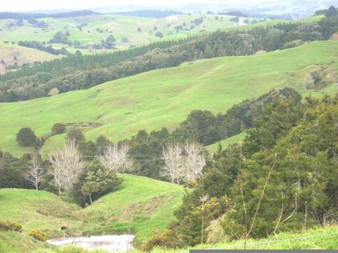 63 Porter Road, Paparoa