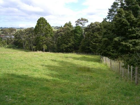 24 Viv Davie-martin Drive, Warkworth