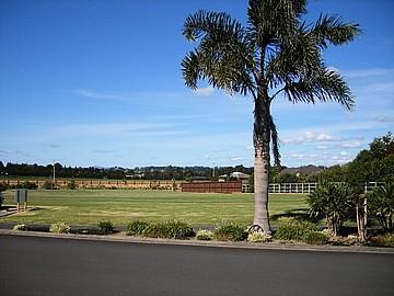 11 Blue Marlin Drive, Kerikeri
