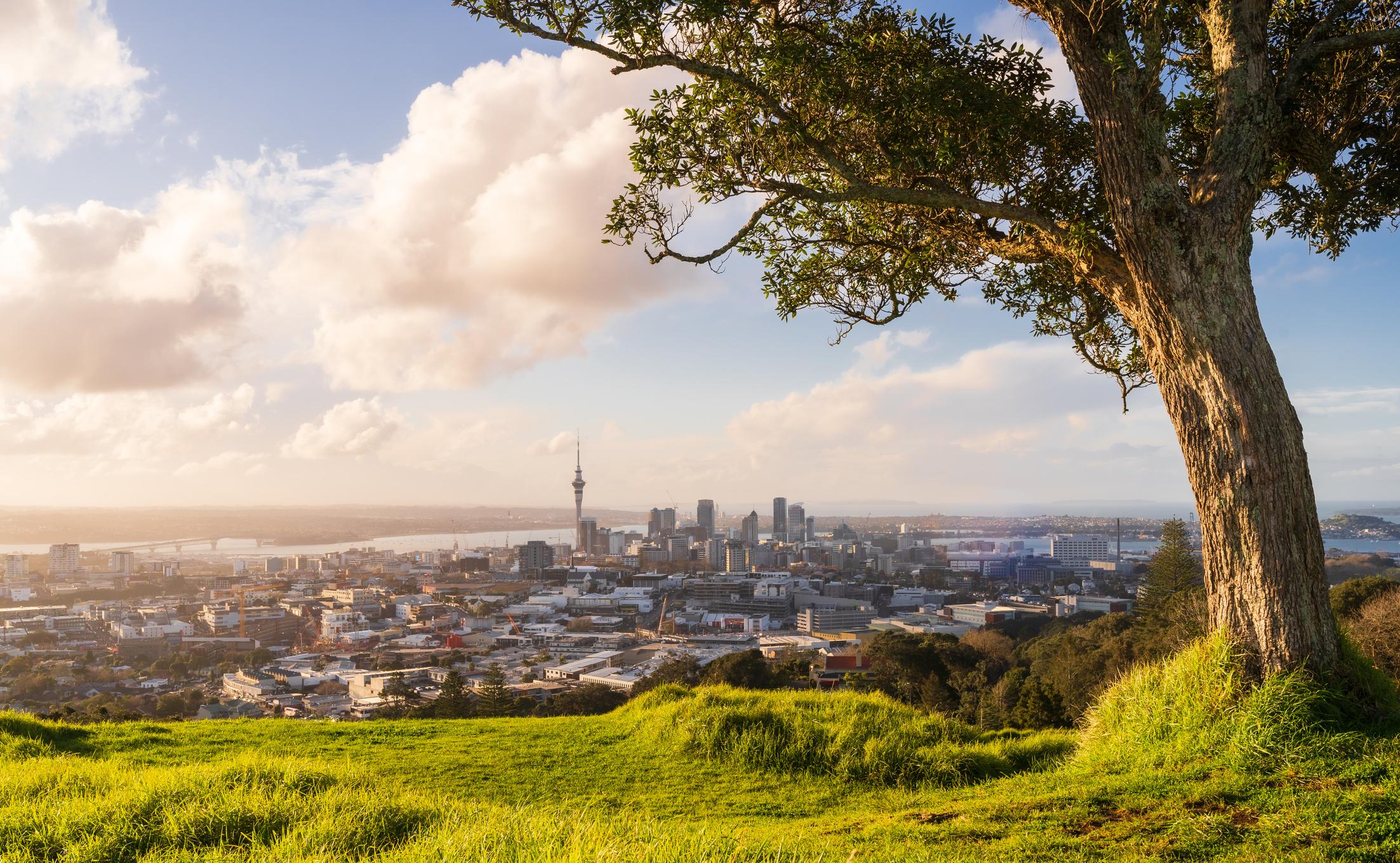 In the zone: Top school zones push property prices up by more than 80%