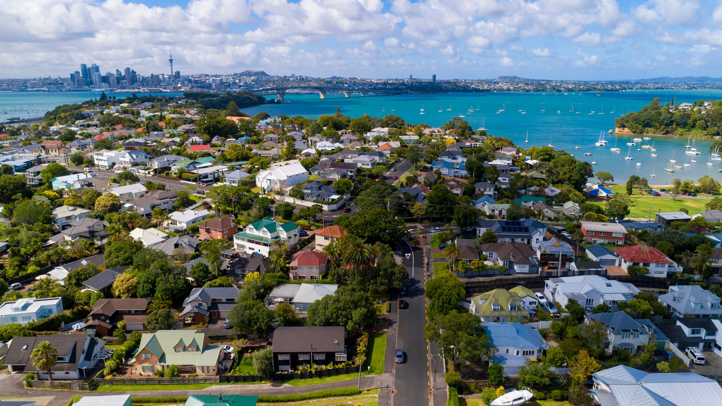 Auckland suburban view