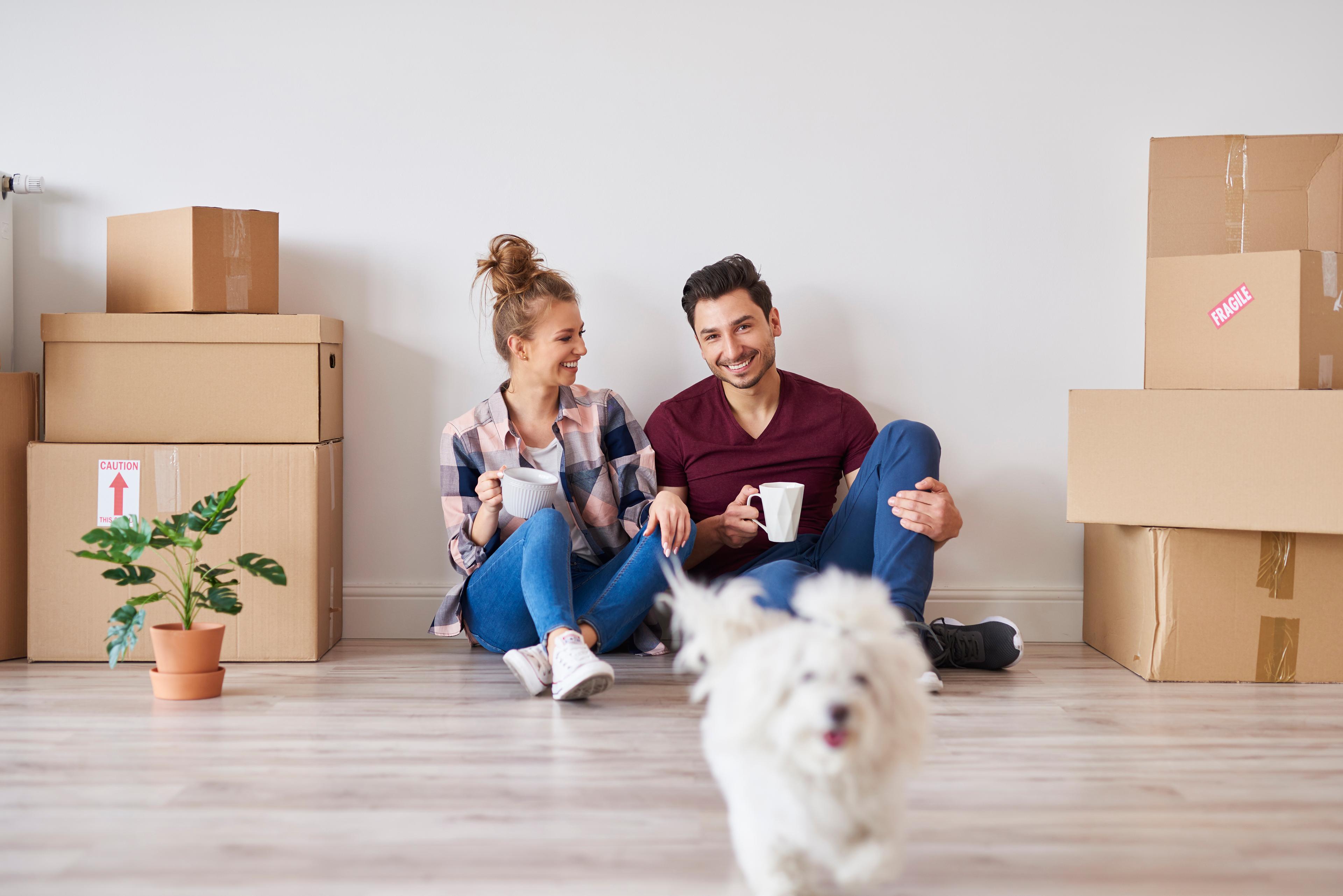 couple moving house with white fluffy dog