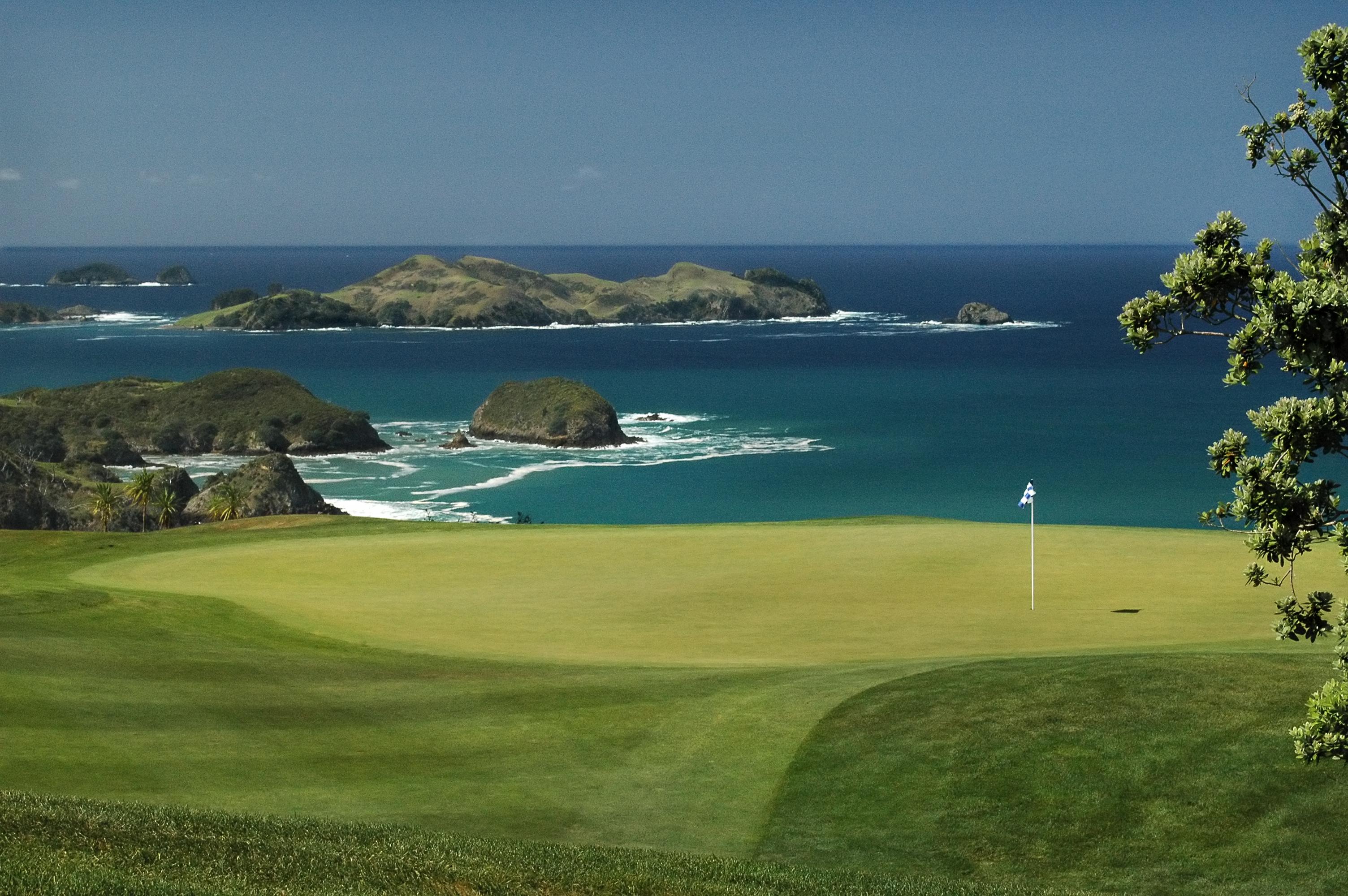 Did you get golf clubs for Christmas?