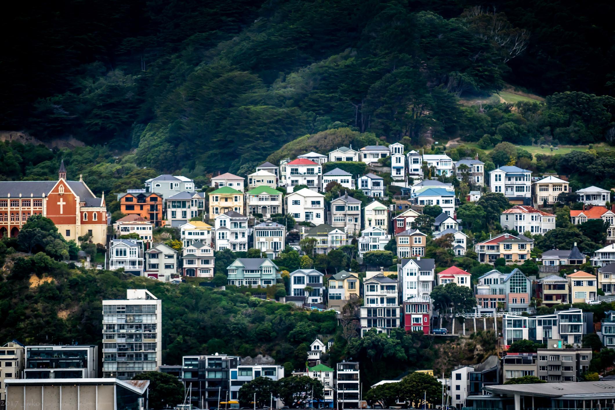 homes on a hill in wellington new zealand
