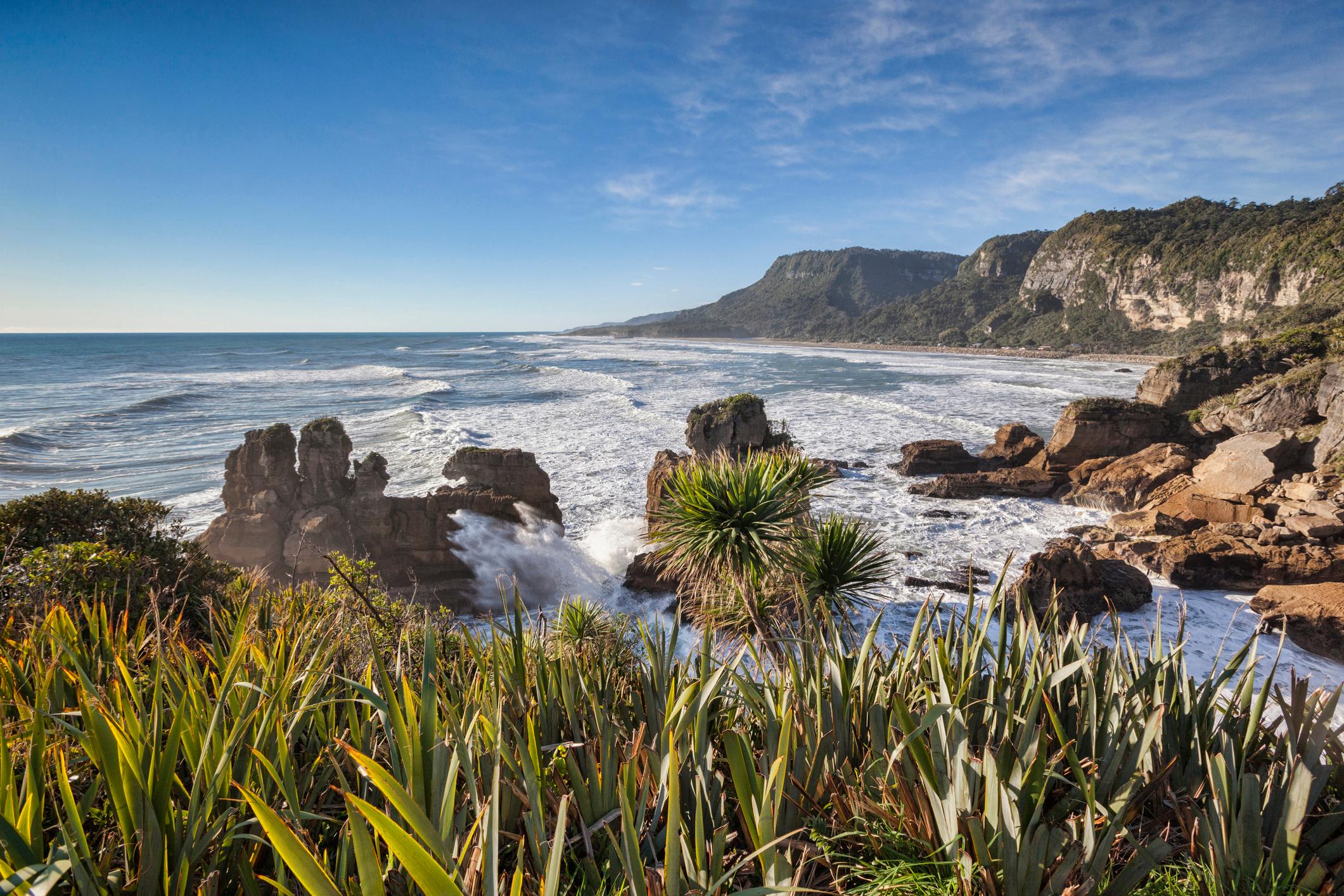 Green shoots appear in the property market ahead of spring