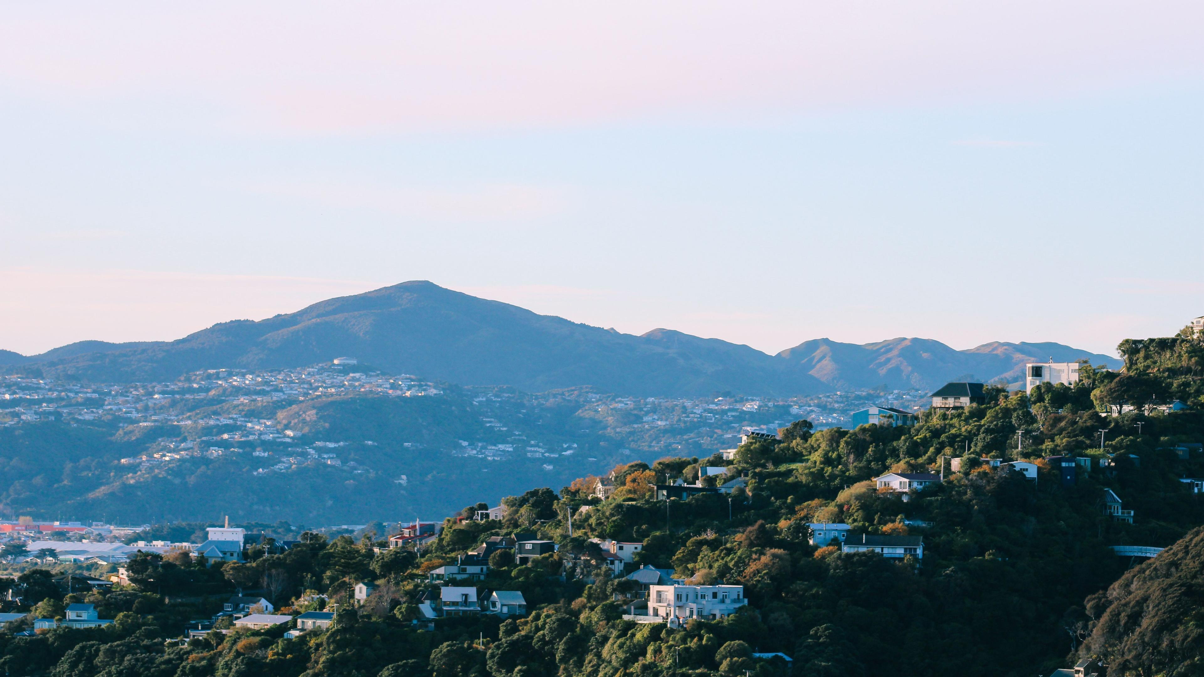 National rental price hits lowest since 2023; regional markets buck the trend