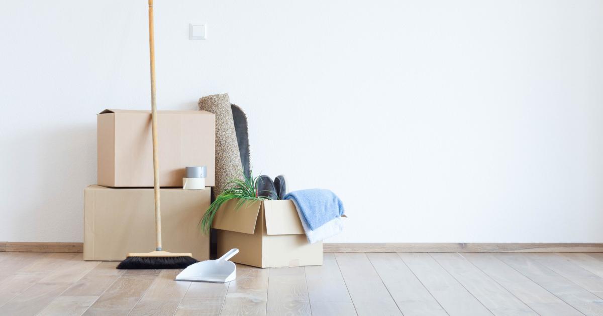 Decluttering and storage solutions for your home in New Zealand