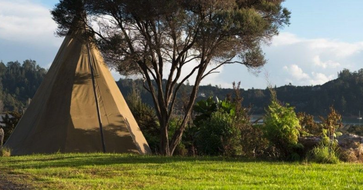 New Zealand farm on a lifestyle property land for sale