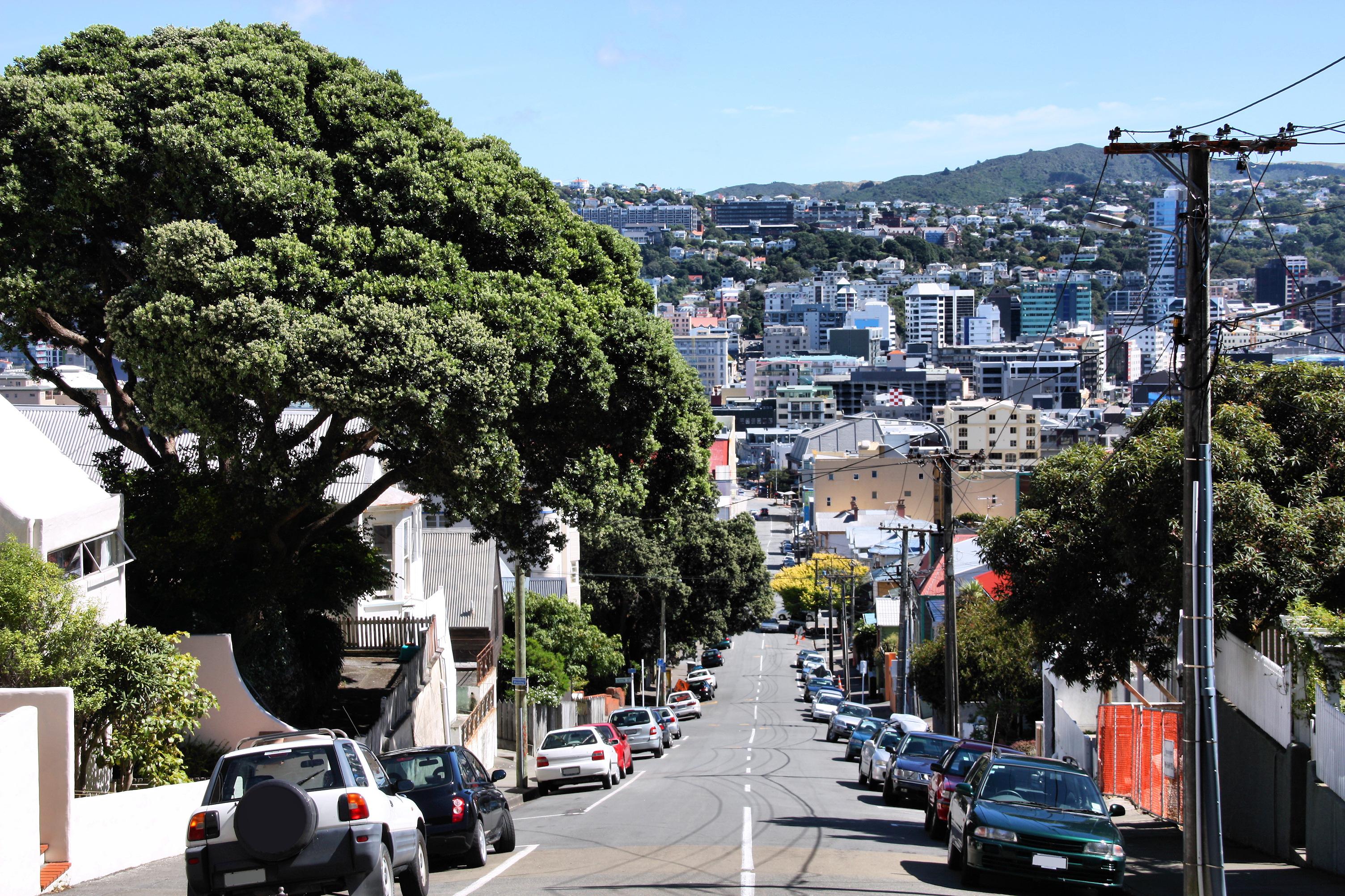Economic Headwinds fail to shake NZ property prices: What's the secret?