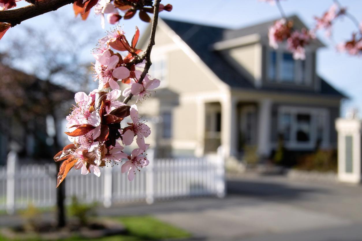 Record price stability and high stock levels offer a rare window for buyers