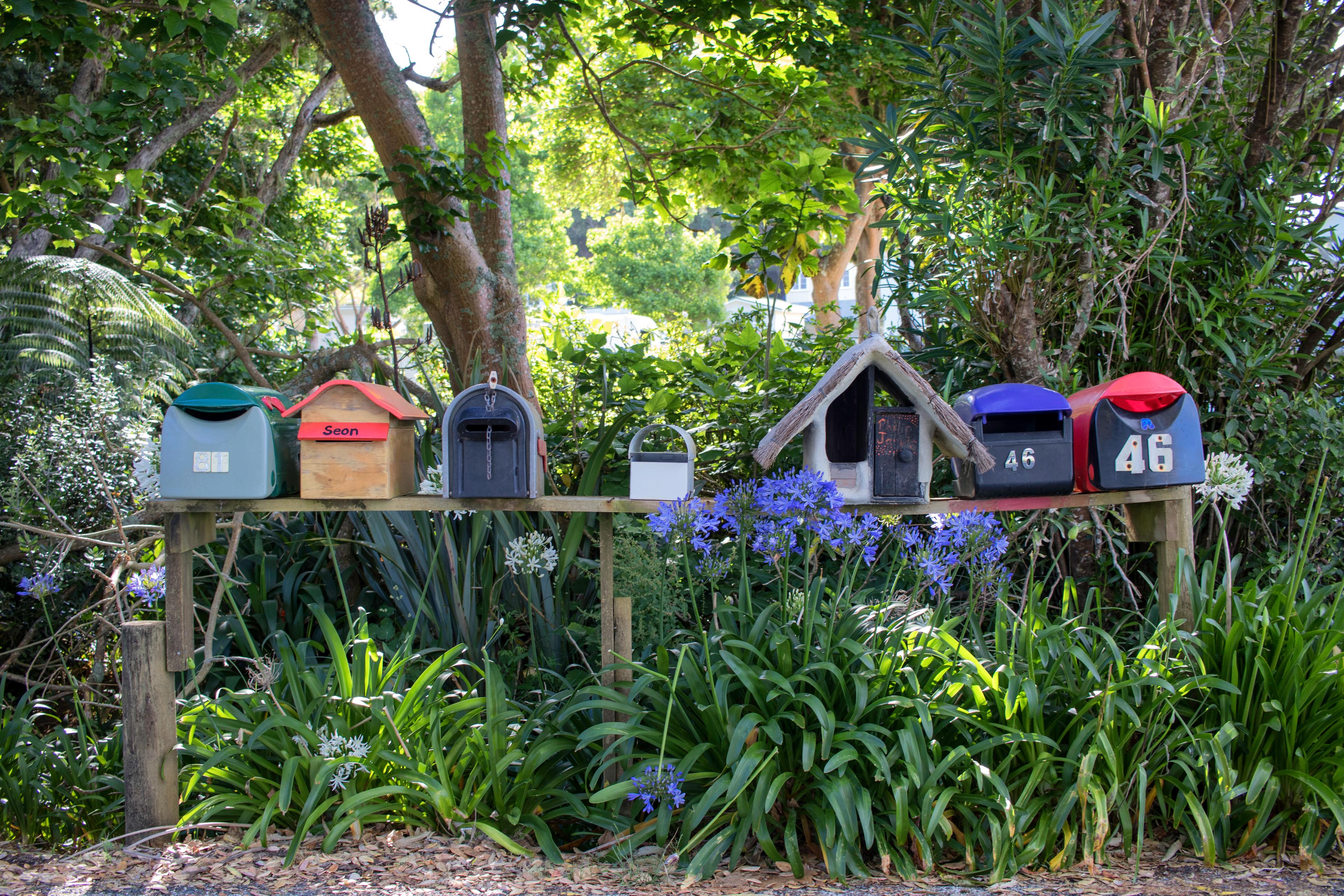 Property market sees lift in buyer interest following OCR drop
