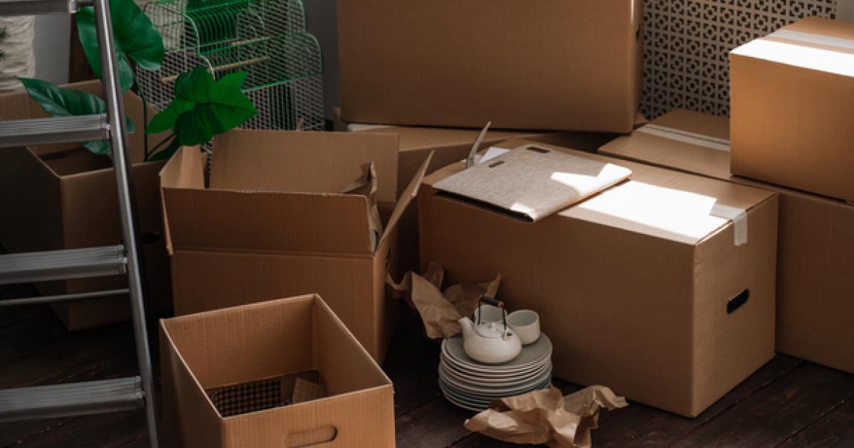 Landlord and tenant responsibilities for New Zealand rental properties