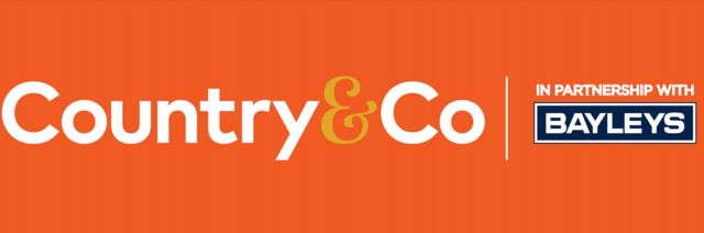 Country & Co Realty Ltd (Licensed: REAA 2008)