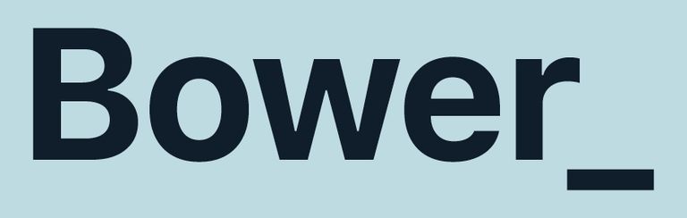 Bower Real Estate Ltd (Licensed: REAA 2008) - Katikati